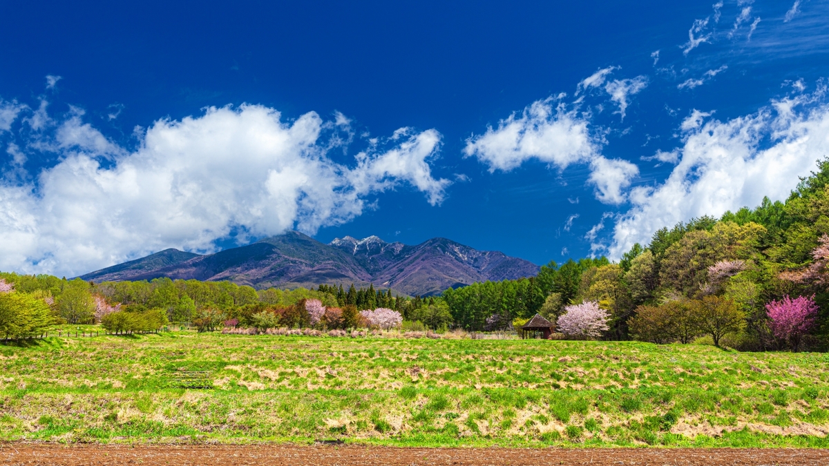 移住者が驚く「冬の晴天率」。北杜市での家づくりは太陽をどう設計するか