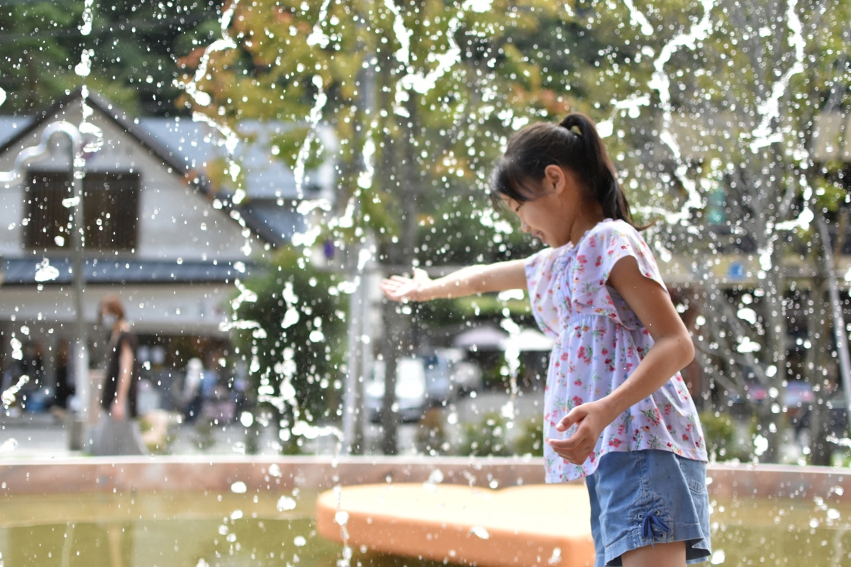 無垢の木を見極める。熟練大工が語る「パイン材」の扱い方