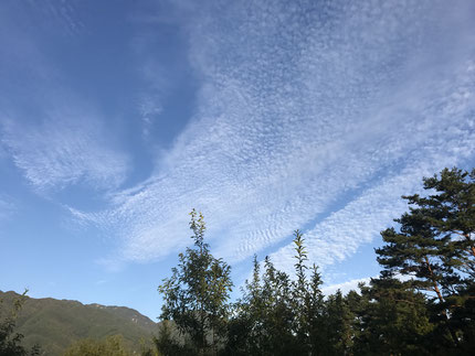 寝室からの景色